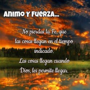 小🐣🐣插入🍑
