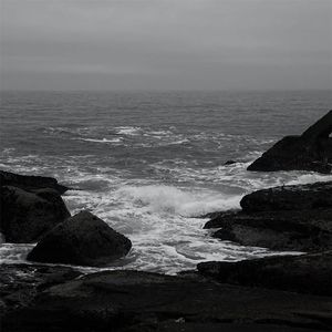 小🐣🐣插入🍑
