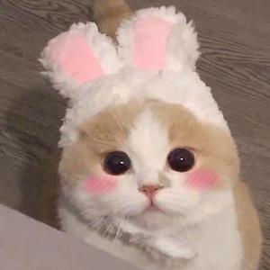 小🐣🐣插入🍑
