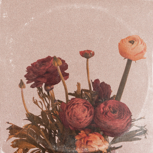 小🐣🐣插入🍑
