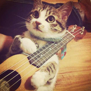 小🐣🐣插入🍑
