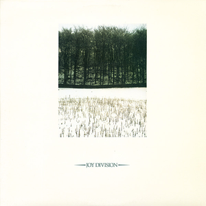 小🐣🐣插入🍑
