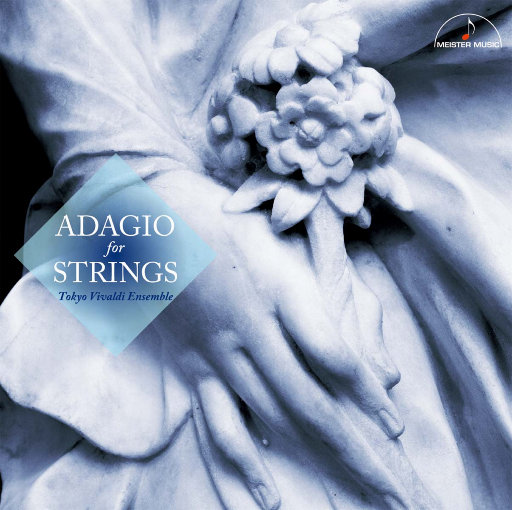 小🐣🐣插入🍑
